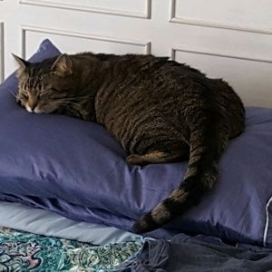 Meet your Posher, Eleanor